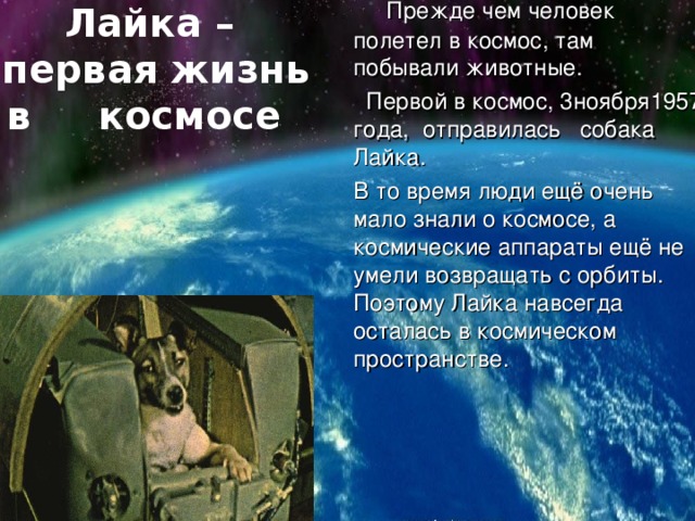 Прежде чем человек полетел в космос, там побывали животные.  Первой в космос, 3ноября1957 года, отправилась  собака Лайка.  В то время люди ещё очень мало знали о космосе, а космические аппараты ещё не умели возвращать с орбиты. Поэтому Лайка навсегда осталась в космическом пространстве. Лайка –  первая жизнь в космосе