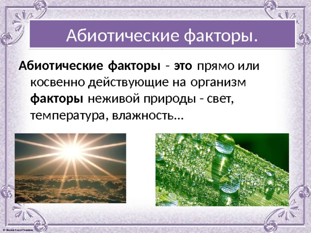 Абиотические факторы. Абиотические   факторы  -  это  прямо или косвенно действующие на организм факторы  неживой природы - свет, температура, влажность... 