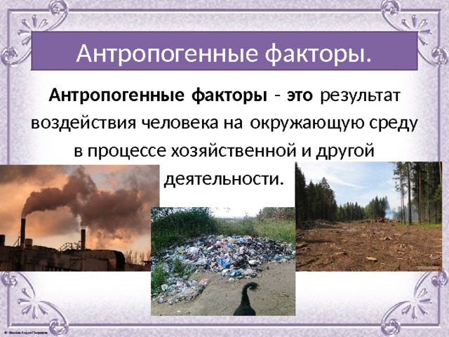 Антропогенные факторы. Антропогенные   факторы  -  это  результат воздействия человека на окружающую среду в процессе хозяйственной и другой деятельности. 