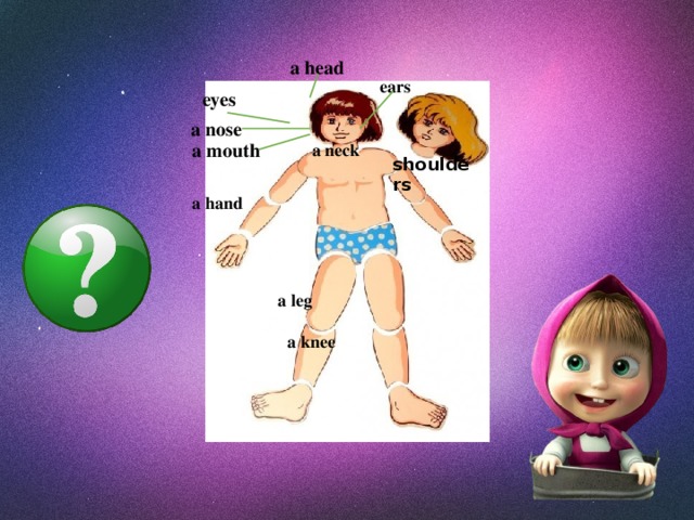 a head ears eyes a nose a mouth a neck shoulders a hand a leg a knee 