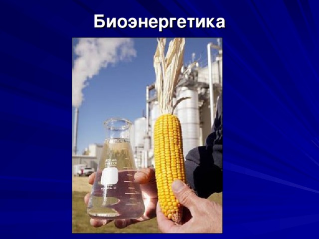 Биоэнергетика 