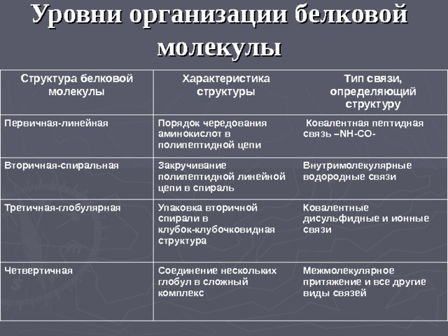 Уровни организации белковой молекулы Структура белковой молекулы Характеристика структуры Первичная-линейная Тип связи, определяющий структуру Порядок чередования аминокислот в полипептидной цепи Вторичная-спиральная  Ковалентная пептидная связь – NH-CO- Закручивание полипептидной линейной цепи в спираль Третичная-глобулярная Внутримолекулярные водородные связи Упаковка вторичной спирали в клубок-клубочковидная структура Четвертичная Ковалентные дисульфидные и ионные связи  Соединение нескольких глобул в сложный комплекс Межмолекулярное притяжение и все другие виды связей 