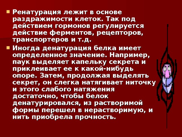 Ренатурация лежит в основе раздражимости клеток. Так под действием гормонов регулируется действие ферментов, рецепторов, транспортеров и т.д. Иногда денатурация белка имеет определенное значение. Например, паук выделяет капельку секрета и приклеивает ее к какой-нибудь опоре. Затем, продолжая выделять секрет, он слегка натягивает ниточку и этого слабого натяжения достаточно, чтобы белок денатурировался, из растворимой формы перешел в нерастворимую, и нить приобрела прочность.  