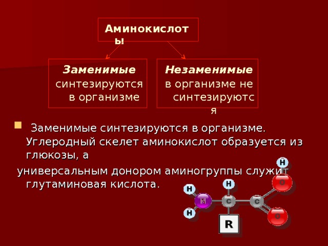 Аминокислоты Заменимые синтезируются в организме Незаменимые в организме не синтезируются  Заменимые синтезируются в организме. Углеродный скелет аминокислот образуется из глюкозы, а  универсальным донором аминогруппы служит глутаминовая кислота. 
