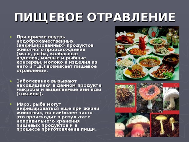 ПИЩЕВОЕ ОТРАВЛЕНИЕ При приеме внутрь недоброкачественных (инфицированных) продуктов животного происхождения (мясо, рыба, колбасные изделия, мясные и рыбные консервы, молоко и изделия из него и т.д.) возникает пищевое отравление.  Заболевание вызывают находящиеся в данном продукте микробы и выделяемые ими яды (токсины).  Мясо, рыба могут инфицироваться еще при жизни животных, но наиболее часто это происходит в результате неправильного хранения пищевых продуктов и в процессе приготовления пищи.  