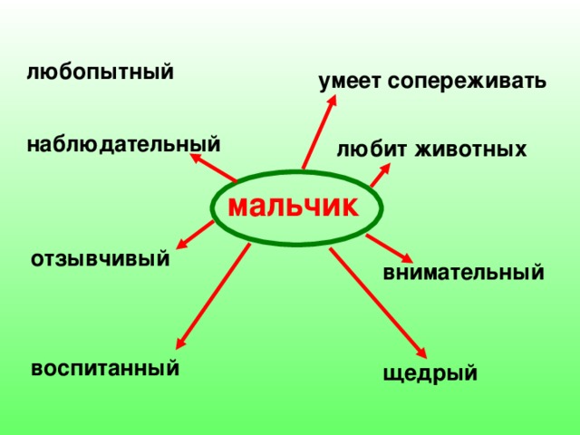 любопытный умеет сопереживать наблюдательный любит животных мальчик отзывчивый внимательный воспитанный щедрый 
