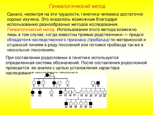 Генеалогический метод Однако, несмотря на эти трудности, генетика человека достаточно хорошо изучена. Это оказалось возможным благодаря использованию разнообразных методов исследования. Генеалогический метод. Использование этого метода возможно лишь в том случае, когда известны прямые родственники — предки обладателя наследственного признака  (пробанда) по материнской и отцовской линиям в ряду поколений или потомки пробанда также в нескольких поколениях. При составлении родословных в генетике используется определенная система обозначений. После составления родословной проводится ее анализ с целью установления характера наследования изучаемого признака.  
