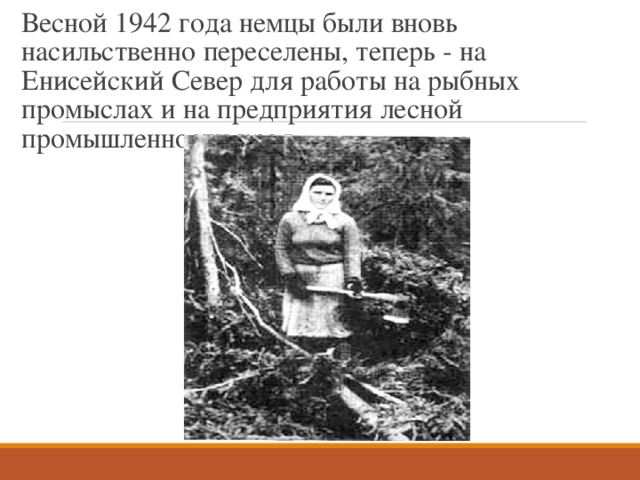 Весной 1942 года немцы были вновь насильственно переселены, теперь - на Енисейский Север для работы на рыбных промыслах и на предприятия лесной промышленности края 
