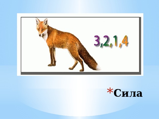 Сила 