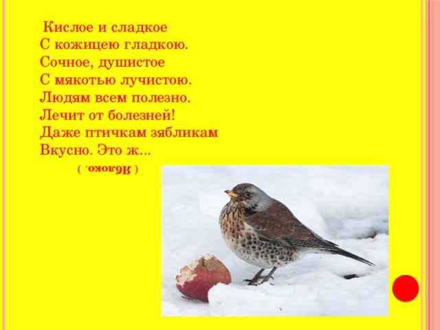 (  Яблоко . )  Кислое и сладкое  С кожицею гладкою.  Сочное, душистое  С мякотью лучистою.  Людям всем полезно.  Лечит от болезней!  Даже птичкам зябликам  Вкусно. Это ж... 