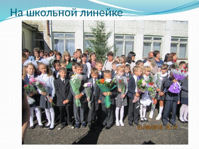 На школьной линейке 