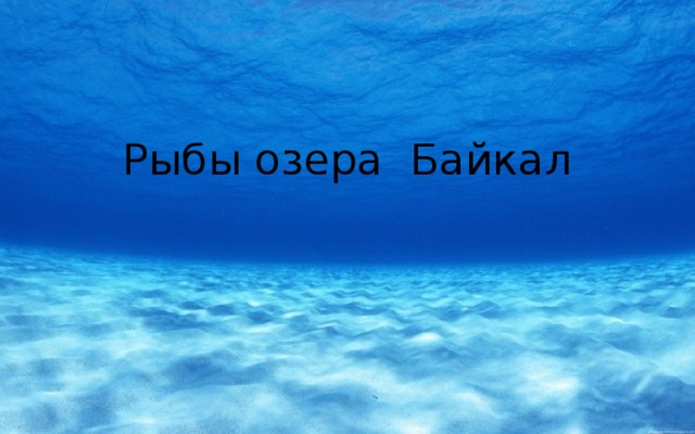 Рыбы озера Байкал 
