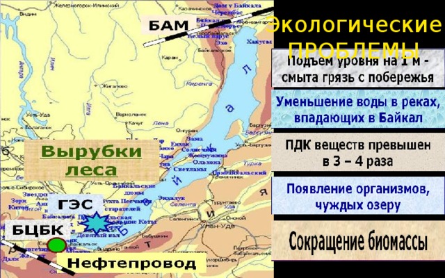 Экологические ПРОБЛЕМЫ 