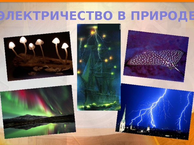 ЭЛЕКТРИЧЕСТВО В ПРИРОДЕ 