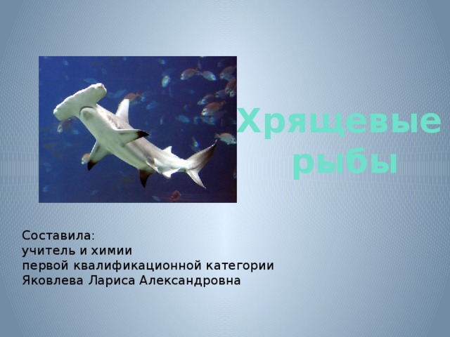 Хрящевые  рыбы Составила: учитель и химии первой квалификационной категории Яковлева Лариса Александровна 