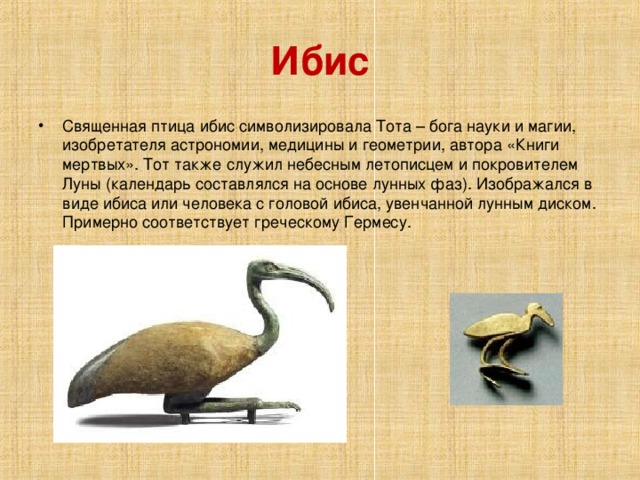 Ибис Священная птица ибис символизировала Тота – бога науки и магии, изобретателя астрономии, медицины и геометрии, автора «Книги мертвых». Тот также служил небесным летописцем и покровителем Луны (календарь составлялся на основе лунных фаз). Изображался в виде ибиса или человека с головой ибиса, увенчанной лунным диском. Примерно соответствует греческому Гермесу. 