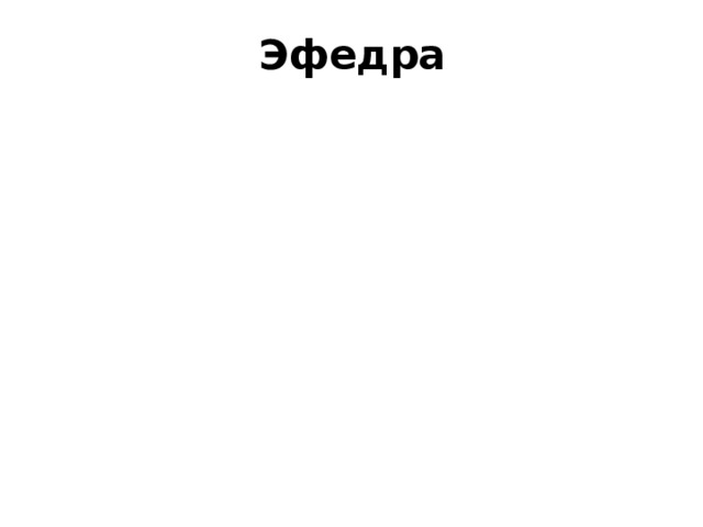 Эфедра