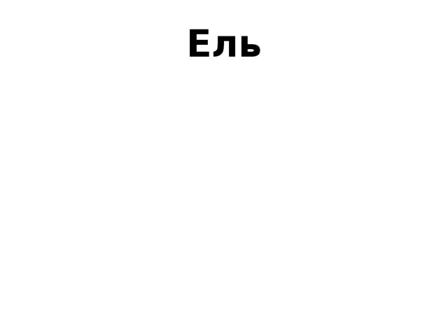 Ель