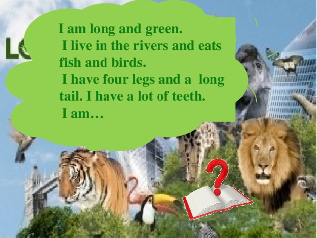  I am long and green.  I live in the rivers and eats fish and birds.  I have four legs and a long tail. I have a lot of teeth.  I am… 