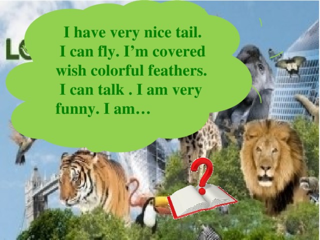  I have very nice tail.  I can fly. I’m covered wish colorful feathers.  I can talk . I am very funny. I am… 