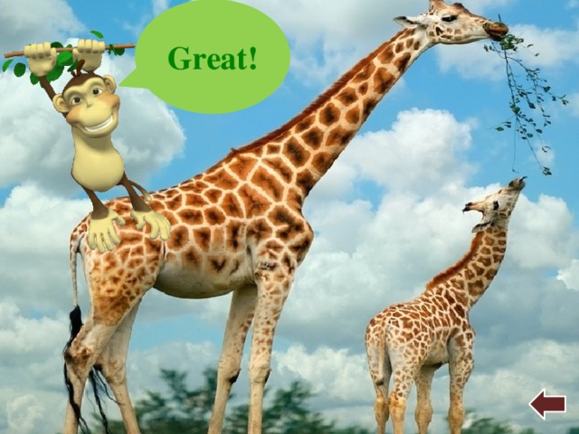Great! 