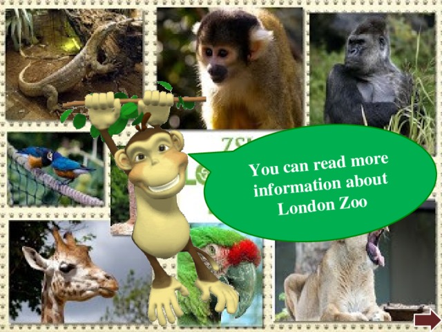 You can read more information about London Zoo 