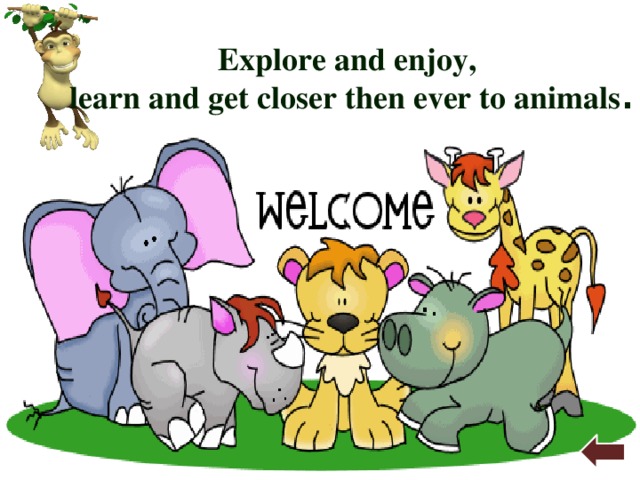 Explore and enjoy, learn and get closer then ever to animals . 