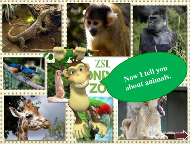 Now I tell you about animals. 
