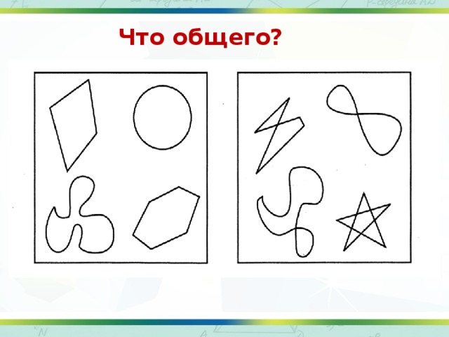 Что общего? Текст слайда 
