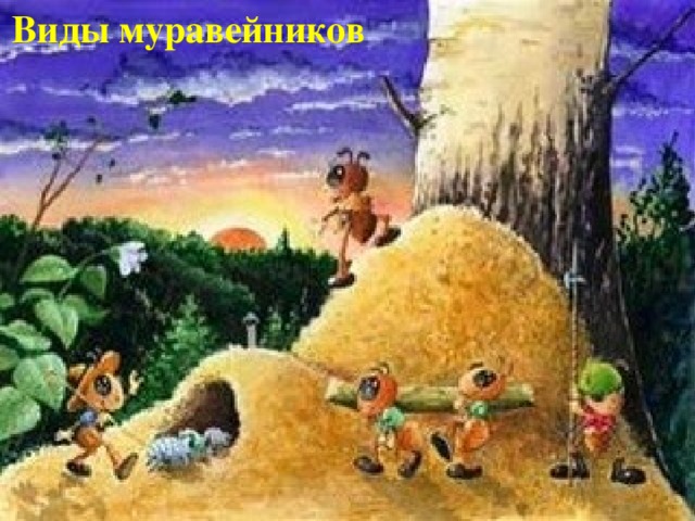 Виды муравейников