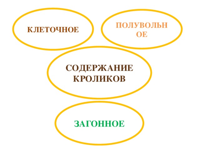 КЛЕТОЧНОЕ ПОЛУВОЛЬНОЕ СОДЕРЖАНИЕ КРОЛИКОВ ЗАГОННОЕ 