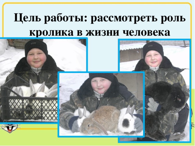 Цель работы: рассмотреть роль кролика в жизни человека 