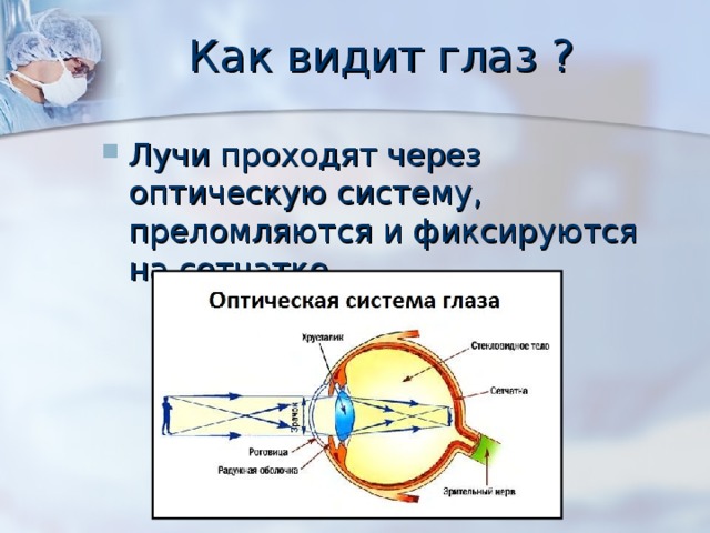 Как видит глаз ? Лучи проходят через оптическую систему, преломляются и фиксируются на сетчатке 