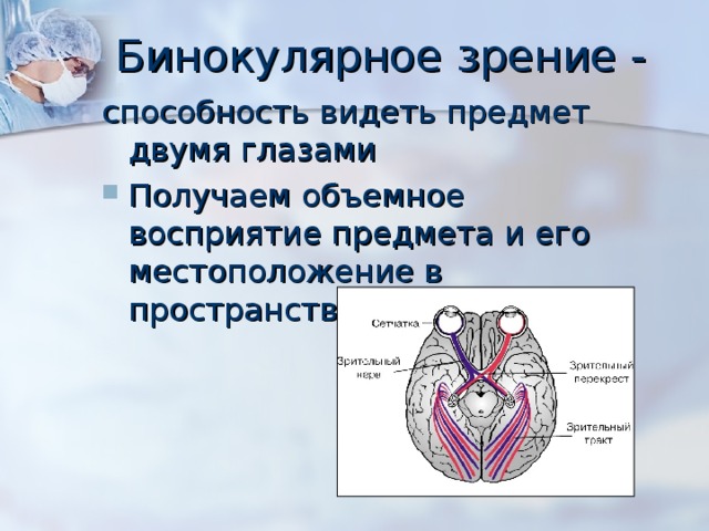 Бинокулярное зрение - способность видеть предмет двумя глазами Получаем объемное восприятие предмета и его местоположение в пространстве 