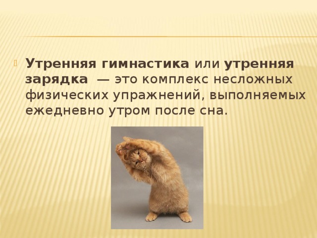 Утренняя гимнастика или утренняя зарядка — это комплекс несложных физических упражнений, выполняемых ежедневно утром после сна. 