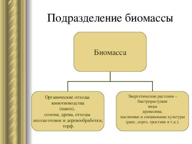 Подразделение биомассы Биомасса Энергетические растения –  быстрорастущие виды  древесины, масличные и специальные культуры (рапс, сорго, тростник и т.д.).  
