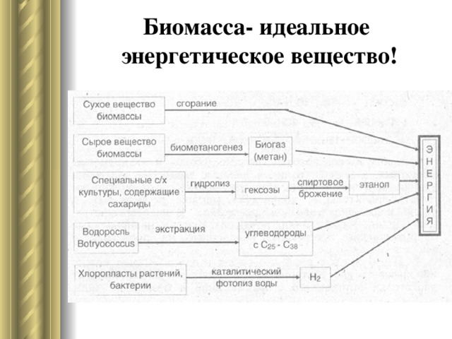 Биомасса- идеальное  энергетическое вещество!  