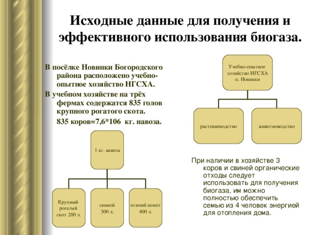 Исходные данные для получения и эффективного использования биогаза. Учебно-опытное хозяйство НГСХА п. Новинки В посёлке Новинки Богородского района расположено учебно-опытное хозяйство НГСХА. В учебном хозяйстве на трёх фермах содержатся 835 голов крупного рогатого скота. 835 коров=7,6*106 кг. навоза. животноводство растениеводство 1 кг. навоза При наличии в хозяйстве 3 коров и свиней органические отходы следует использовать для получения биогаза, им можно полностью обеспечить семью из 4 человек энергией для отопления дома. Крупный рогатый скот 200 л. свиной 300 л. птичий помет 400 л. 8 