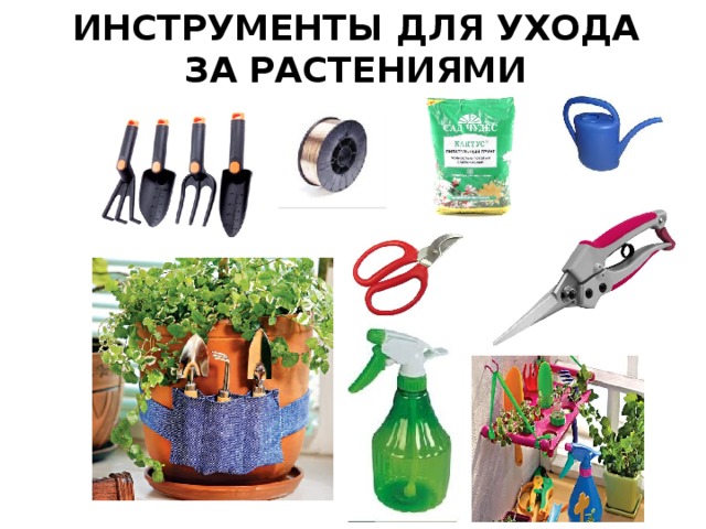 ИНСТРУМЕНТЫ ДЛЯ УХОДА ЗА РАСТЕНИЯМИ 