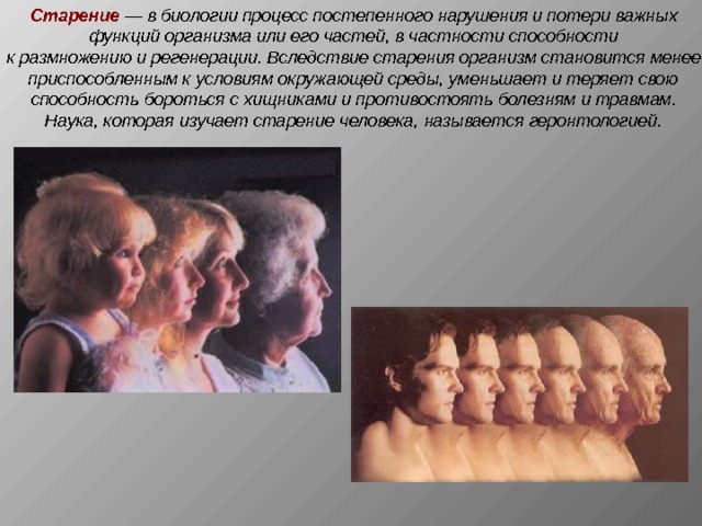 Старение  — в биологии процесс постепенного нарушения и потери важных функций организма или его частей, в частности способности к размножению и регенерации. Вследствие старения организм становится менее приспособленным к условиям окружающей среды, уменьшает и теряет свою способность бороться с хищниками и противостоять болезням и травмам. Наука, которая изучает старение человека, называется геронтологией.  