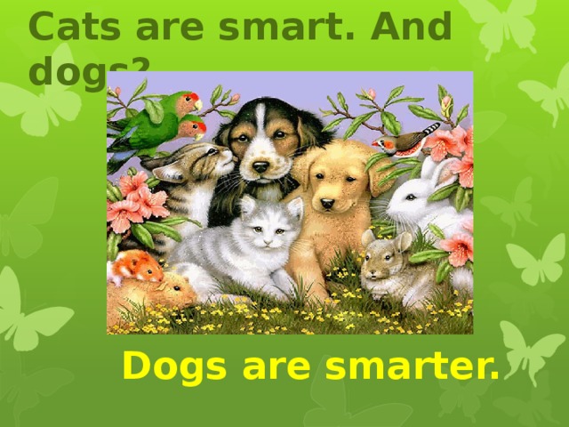 Cats are smart. And dogs? Dogs are smarter. 