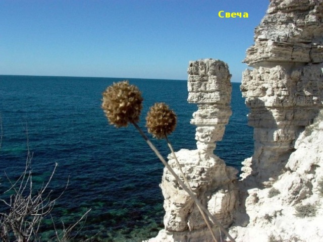 Свеча 