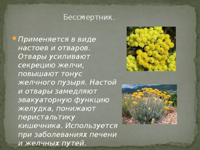 Бессмертник.   Применяется в виде настоев и отваров. Отвары усиливают секрецию желчи, повышают тонус желчного пузыря. Настой и отвары замедляют эвакуаторную функцию желудка, понижают перистальтику кишечника. Используется при заболеваниях печени и желчных путей.  