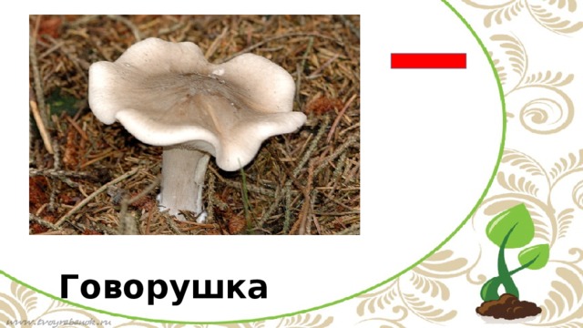 Говорушка
