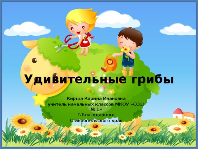 Удивительные грибы   Кирша Карина Ивановна учитель начальных классов МКОУ «СОШ № 1» Г.Благодарного Ставропольского края