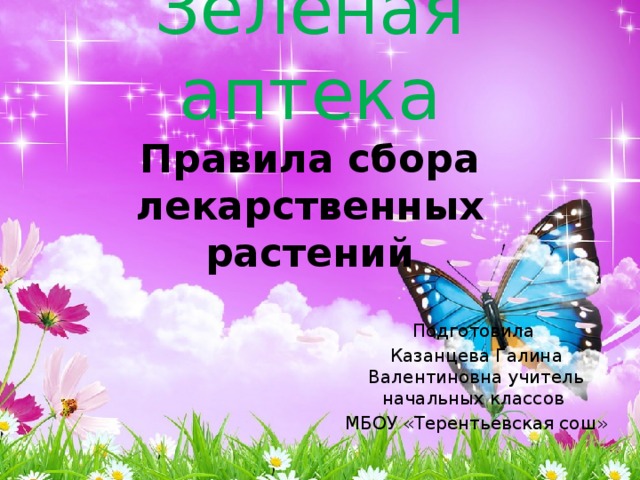 Зелёная аптека  Правила сбора лекарственных растений    Подготовила Казанцева Галина Валентиновна учитель начальных классов МБОУ «Терентьевская сош» 