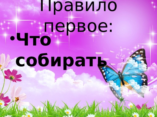 Правило первое: Что собирать 