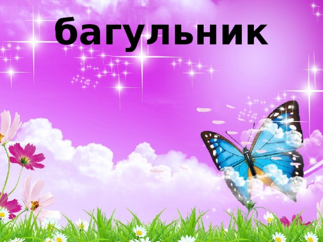 багульник 