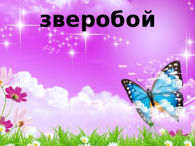зверобой 
