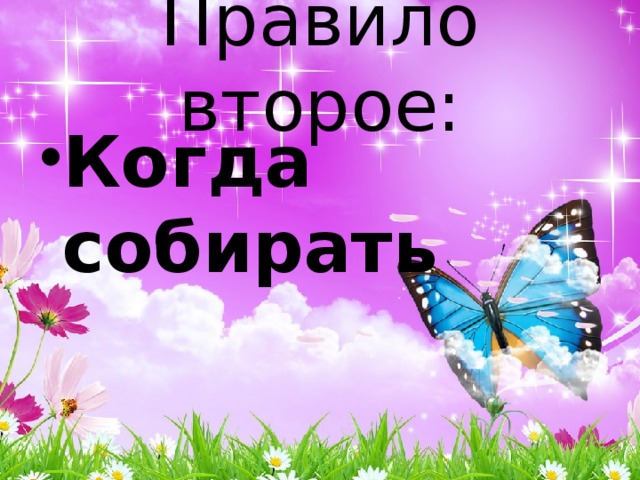 Правило второе: Когда собирать 